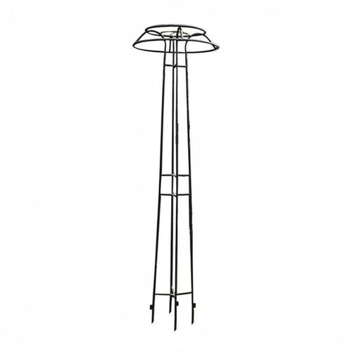 Wrought iron flower obelisk - flower,