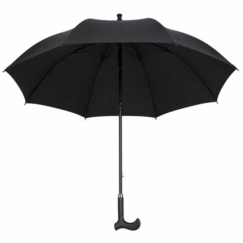 Umbrella walking stick - 2,
